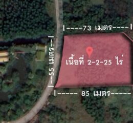 ขายที่ดินคลองหลวง คลองสาม