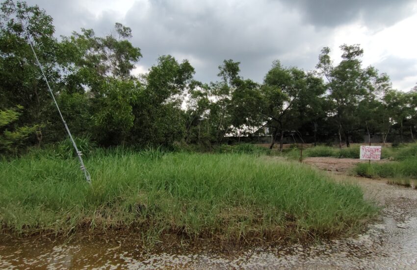 ขายที่ดินเมืองเอก