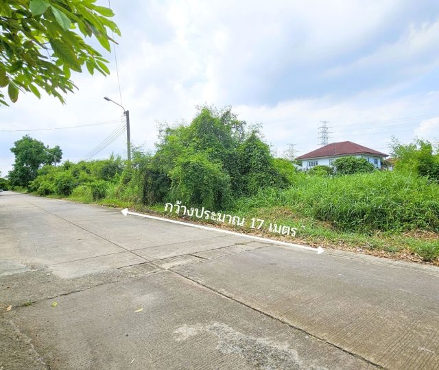 ขายที่ดินฟลอร่า วิลล์ สุวินทวงศ์ 38 https://listing.homelink.in.th/property/ขายที่ดินฟลอร่า-วิลล์