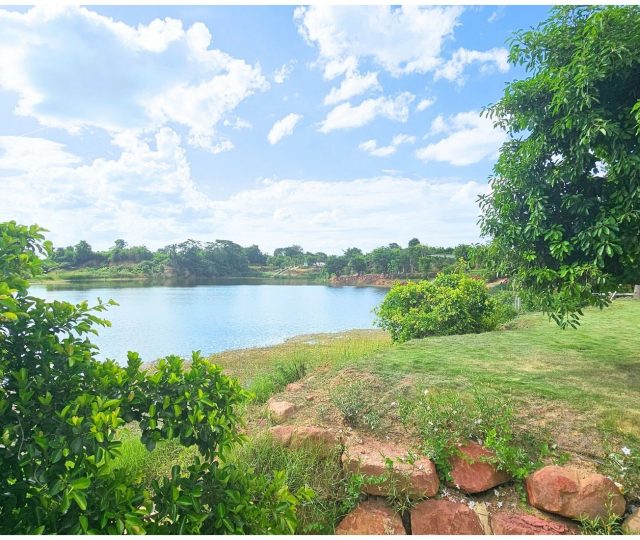 ขายที่ดิน ริมน้ำ บ้านยาง อำเภอเมืองนครปฐม https://listing.homelink.in.th/property/ขายที่ดิน-ริมน้ำ-บ้านยาง