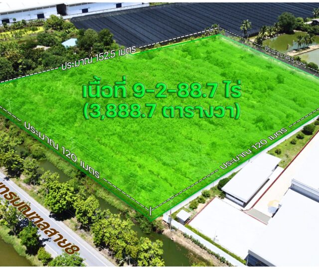 ขายที่ดิน พุทธมณฑลสาย 8 นครปฐม https://listing.homelink.in.th/property/ขายที่ดิน-พุทธมณฑลสาย-8