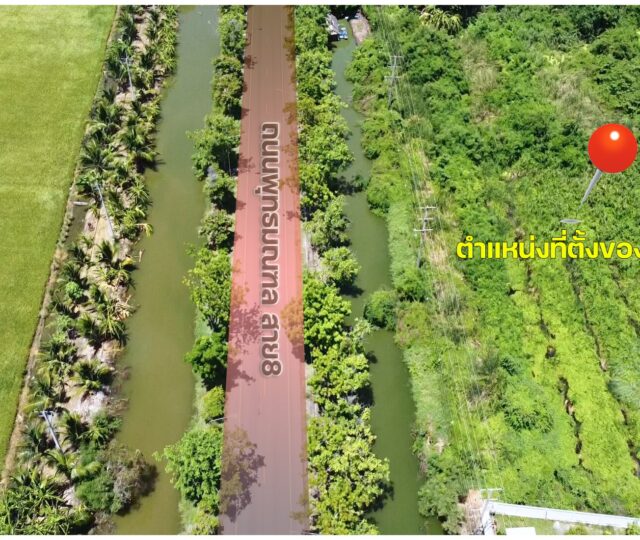 ขายที่ดิน พุทธมณฑลสาย 8 นครปฐม https://listing.homelink.in.th/property/ขายที่ดิน-พุทธมณฑลสาย-8