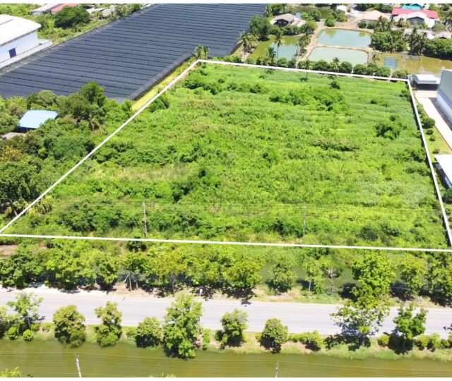 ขายที่ดิน พุทธมณฑลสาย 8 นครปฐม https://listing.homelink.in.th/property/ขายที่ดิน-พุทธมณฑลสาย-8