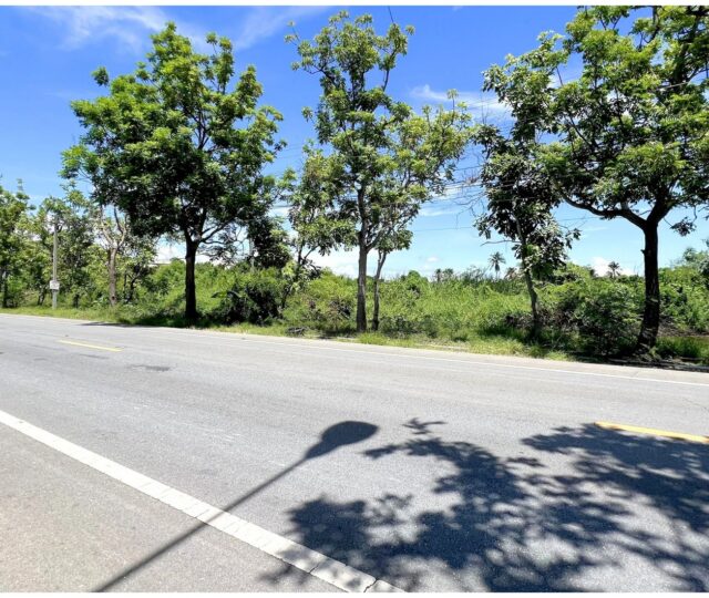 ขายที่ดิน พุทธมณฑลสาย 8 นครปฐม https://listing.homelink.in.th/property/ขายที่ดิน-พุทธมณฑลสาย-8