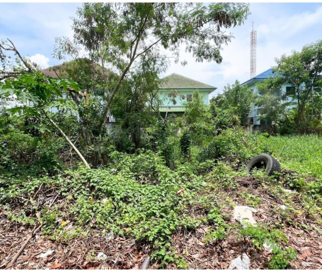 ขายที่ดินตลิ่งชัน ทวีวัฒนา https://listing.homelink.in.th/property/ขายที่ดินตลิ่งชัน