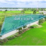 ที่ดินไทรน้อย 4-2-42 ไร่ https://listing.homelink.in.th/property/ที่ดินไทรน้อย
